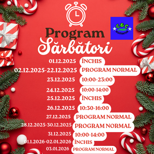 PROGRAM SĂRBĂTORI 2025 IARNĂ